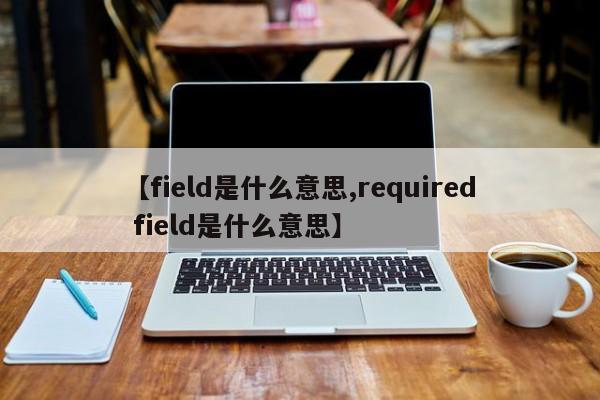 【field是什么意思,required field是什么意思】